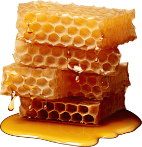 Pure Honey in Singapore | Raw Wild Honey