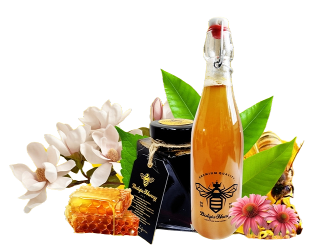 Benefits - Balqis Honey